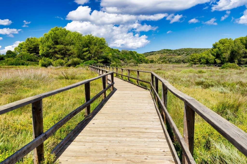 Lush landscape of S'Albufera Natural Park