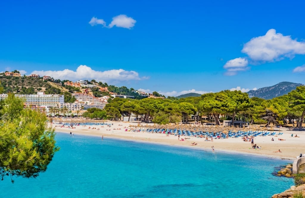 Turquoise water of Playa de Santa Ponsa