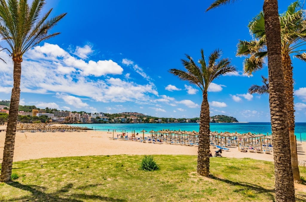 People lounging on Playa de Santa Ponsa