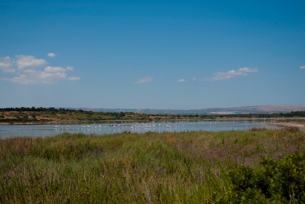 Lagoon in Vendicari Nature Reserve with flamingos