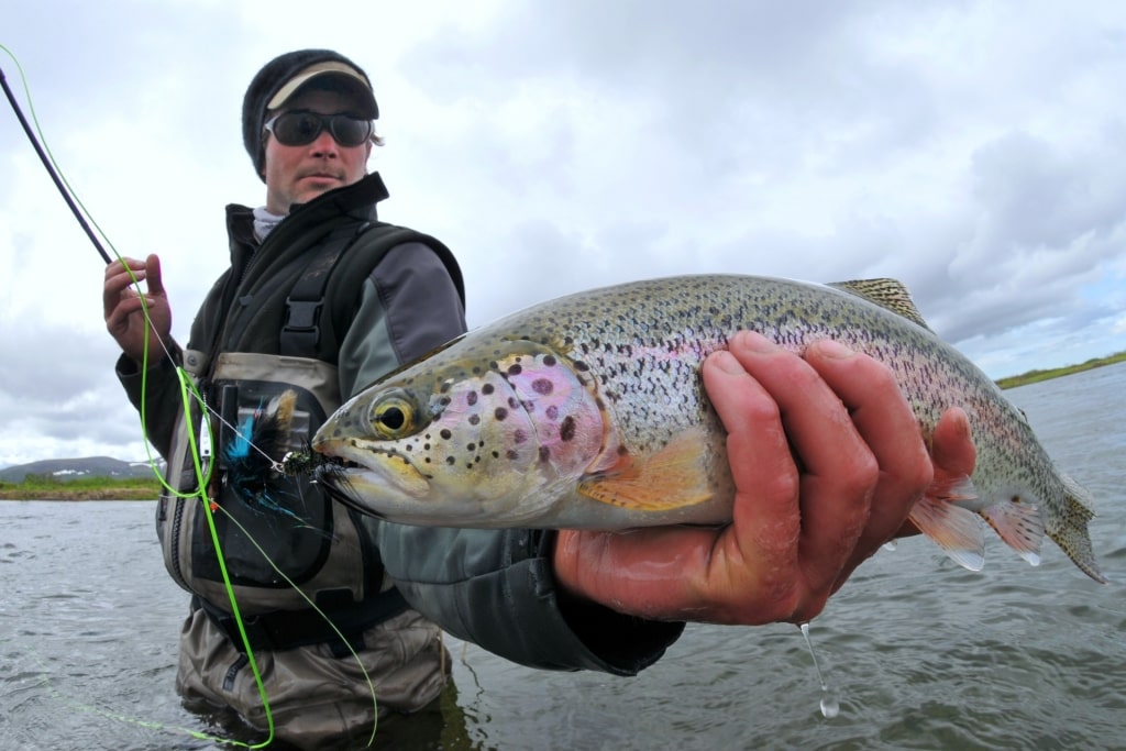 Denali National Park, one of the best places to fish in Alaska