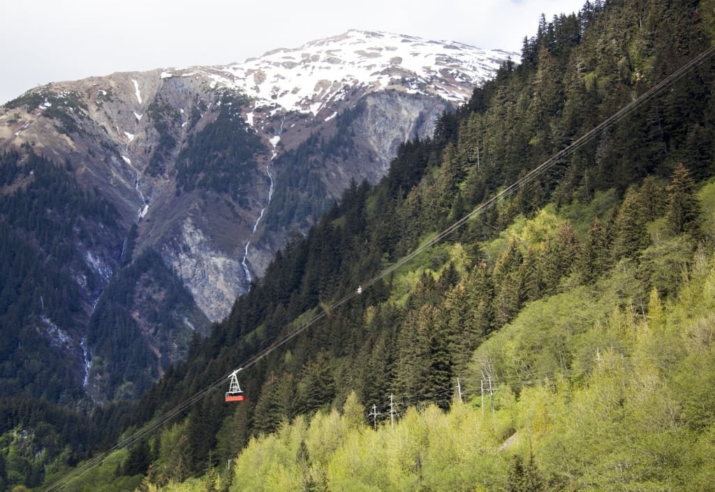 Lush landscape of Mount Roberts with tramway