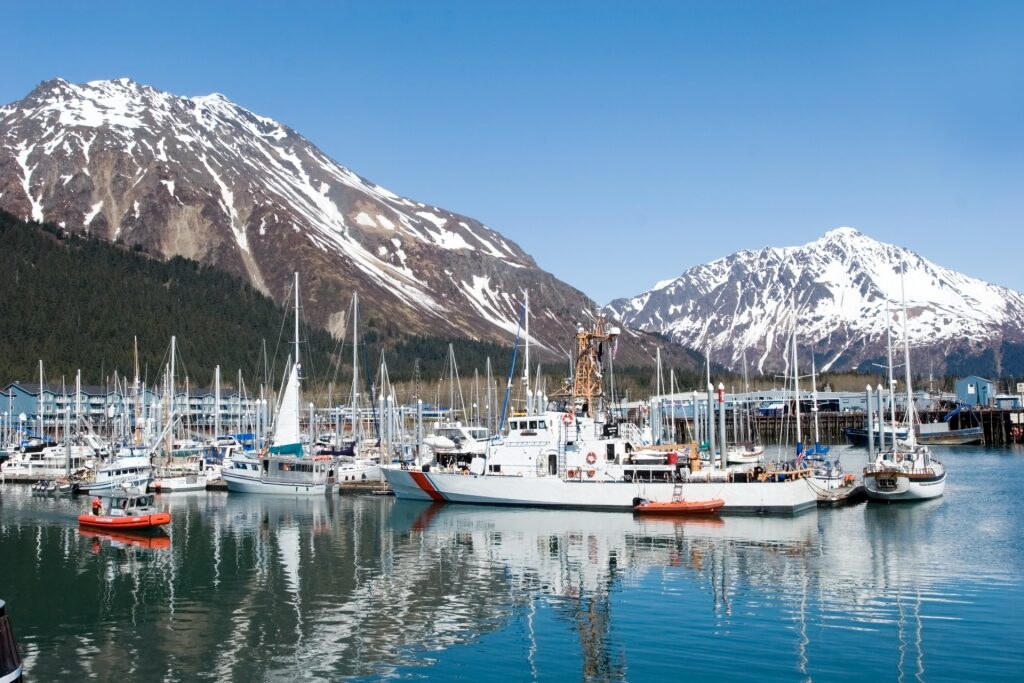 Boats lined up on Seward's waterfront