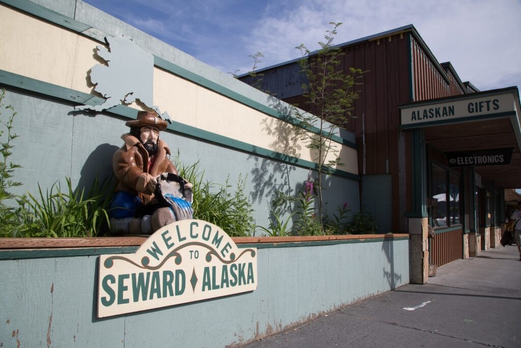 View of Seward's Downtown