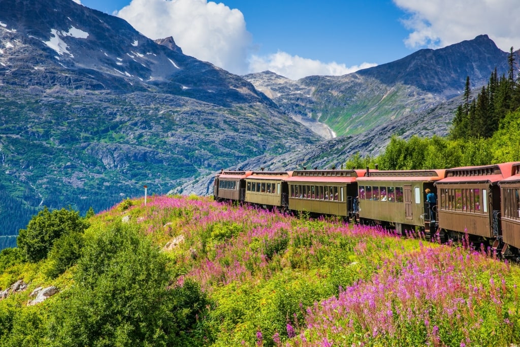 White Pass train in Alaska with snowy mountain and pine trees