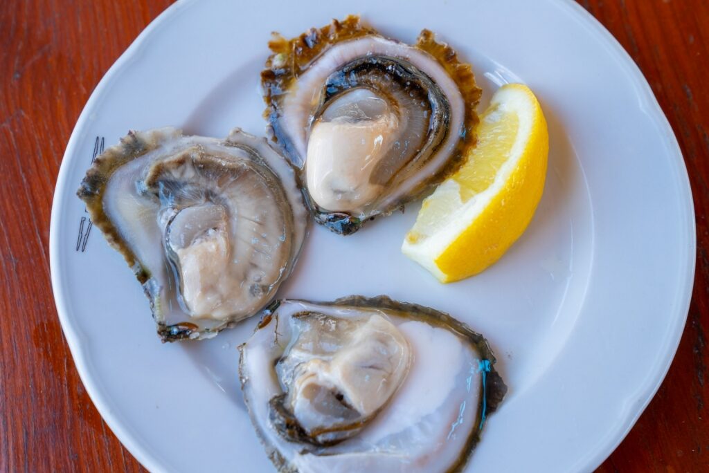 Plate of oysters 