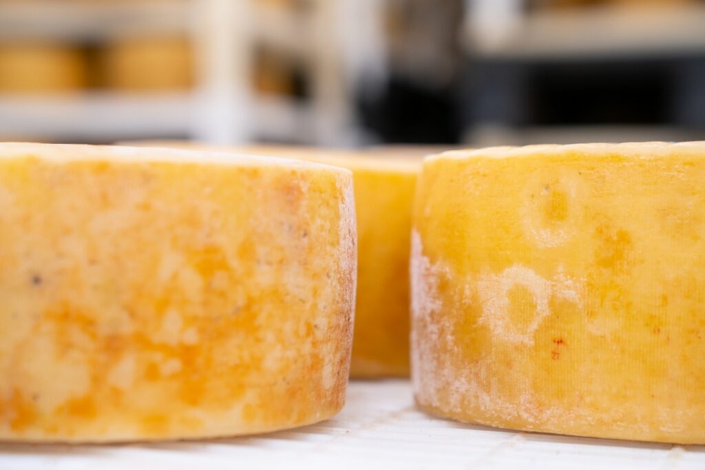 Blocks of Pag cheese