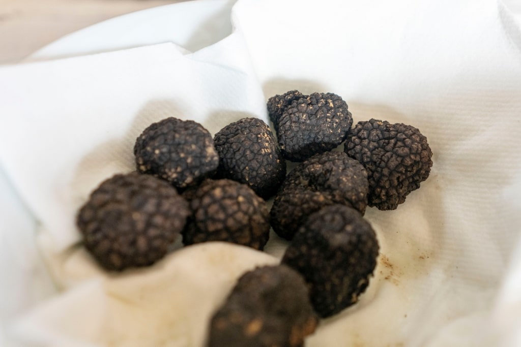 Truffles in a plate