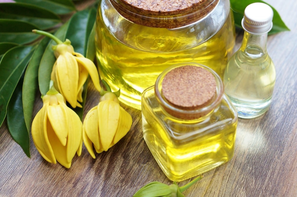 Ylang-ylang oil