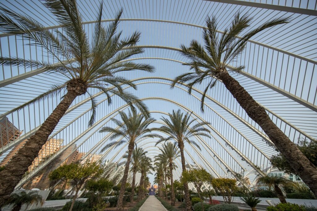 View from inside the City of Arts and Sciences, Valencia
