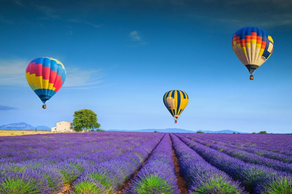 Hot air balloon flying over Valensole Plateau