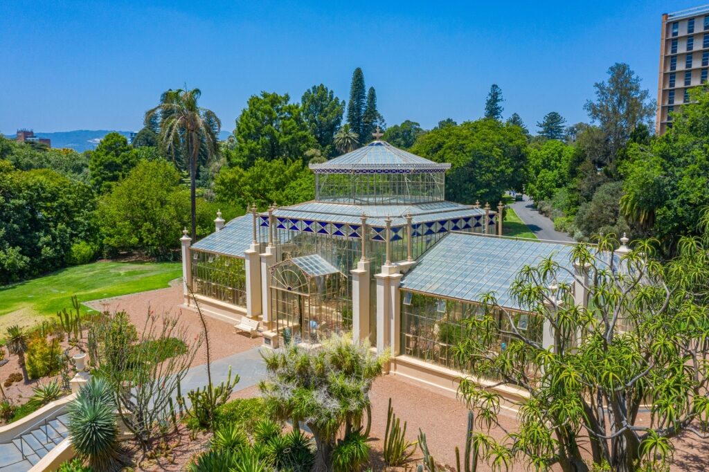 Glass exterior of Palm House, Adelaide Botanic Garden