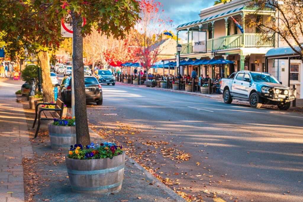 Street view of Hahndorf Village