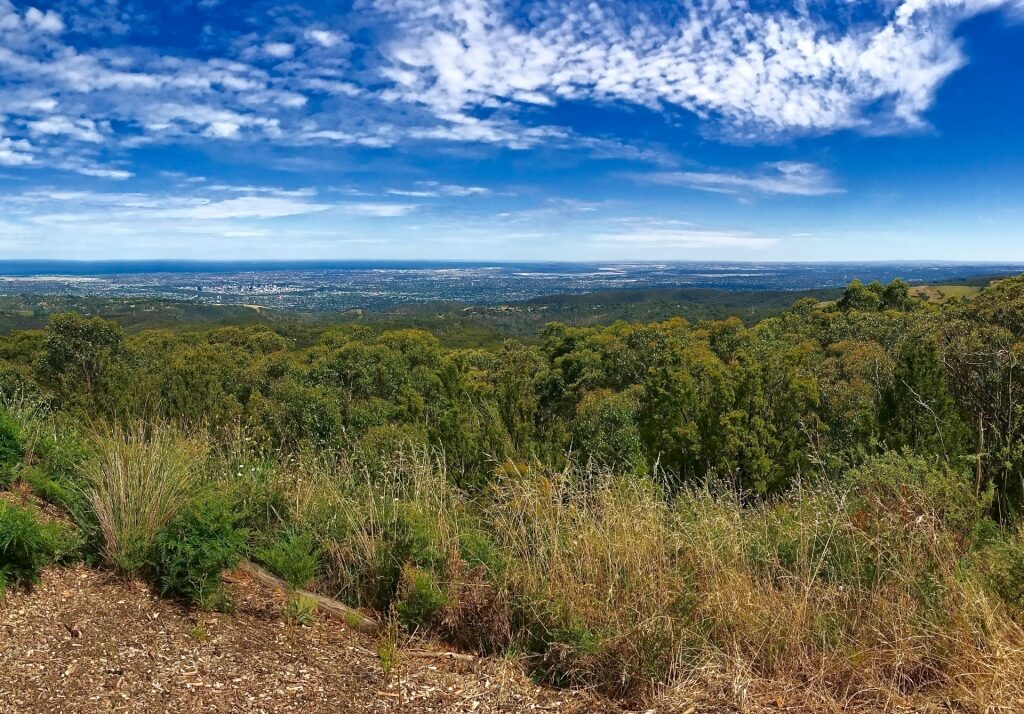 View atop Mount Lofty