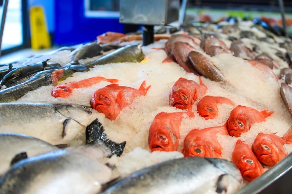 Fresh fish inside the Auckland Fish Market