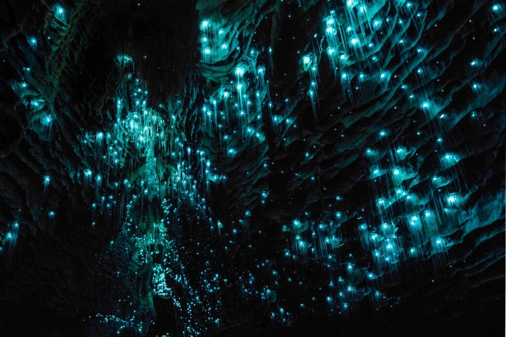 Beautiful view inside the Waitomo Glow Worm Caves