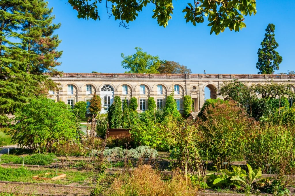 Lush landscape of Public Garden