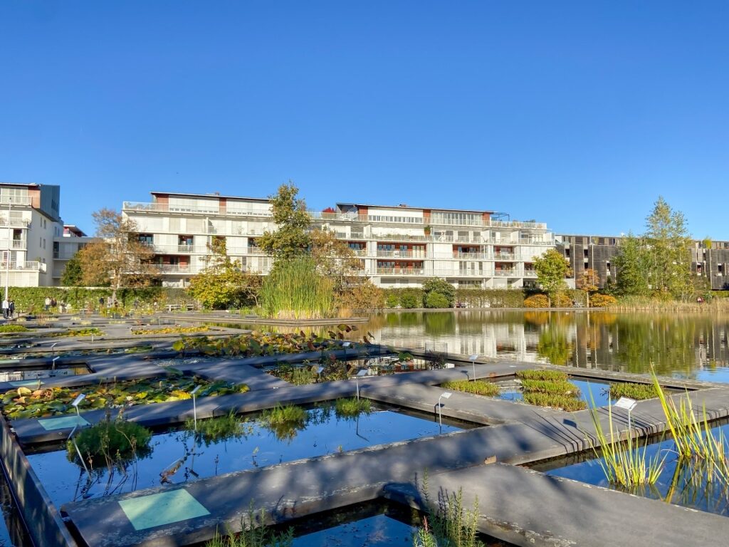 Small ponds in Botanical Gardens