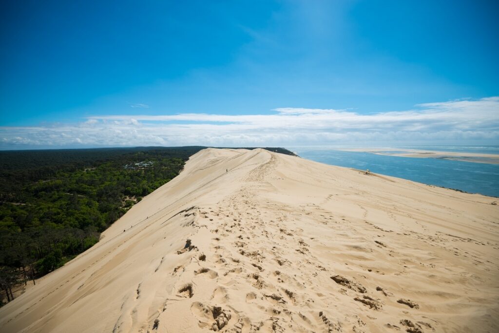 Sandy landscape of Dune of Pilat