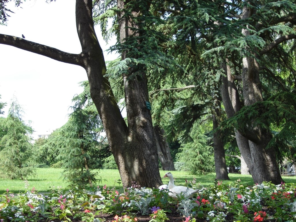 Lush landscape of Parc Bordelais