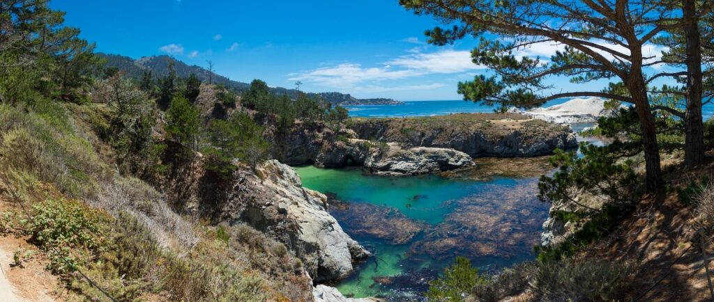Aerial view of Point Lobos State Natural Reserve
