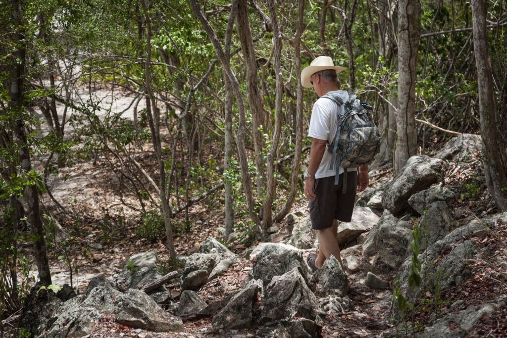 Man hiking in Lind Point Trail, St. John