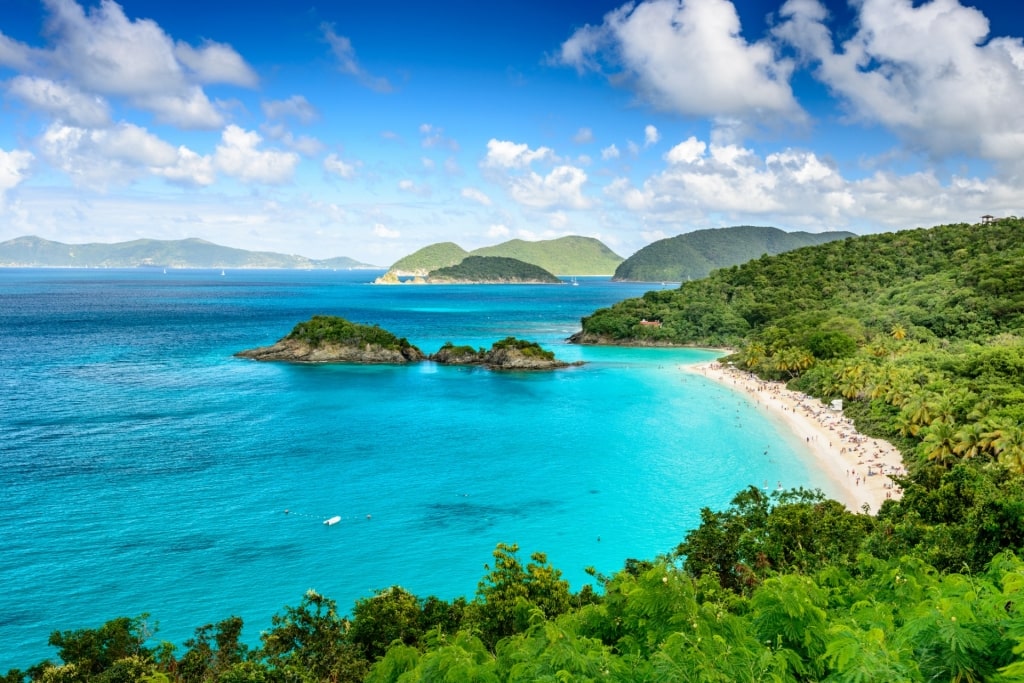 Aerial view of Trunk Bay, St. John