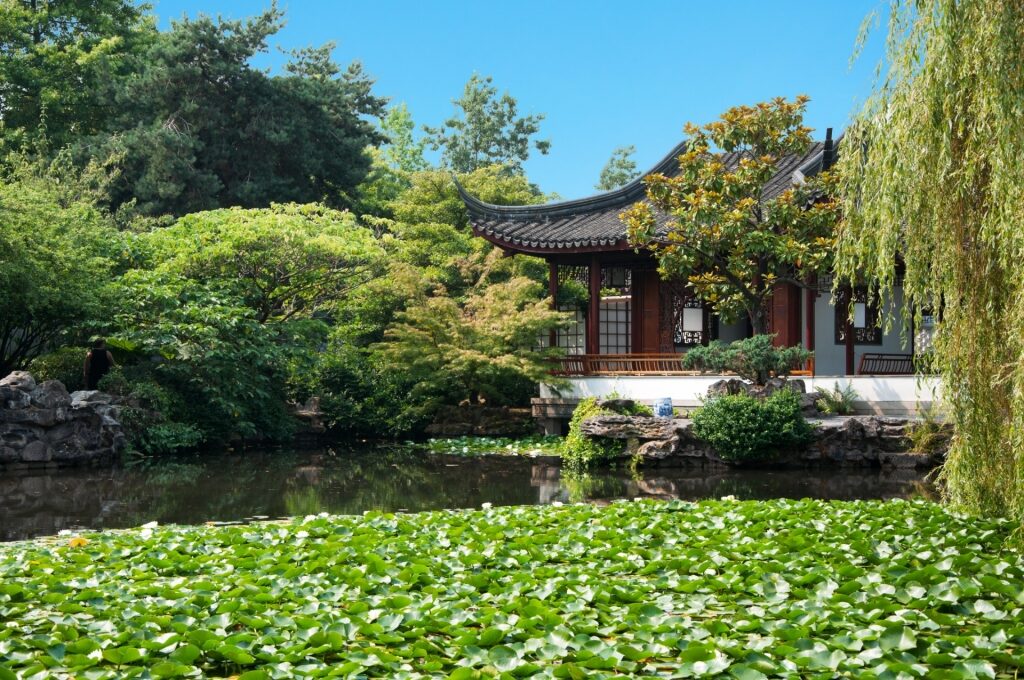 Lush landscape of Dr. Sun Yat-Sen Classical Chinese Garden