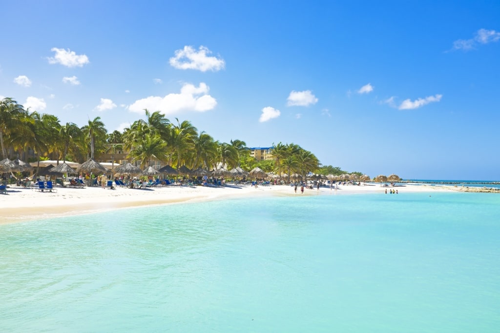 White sands of Palm Beach