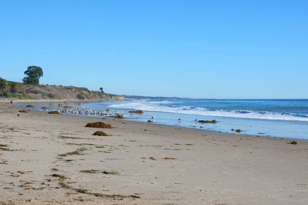 Quiet beach of Refugio State Beach, near Santa Barbara