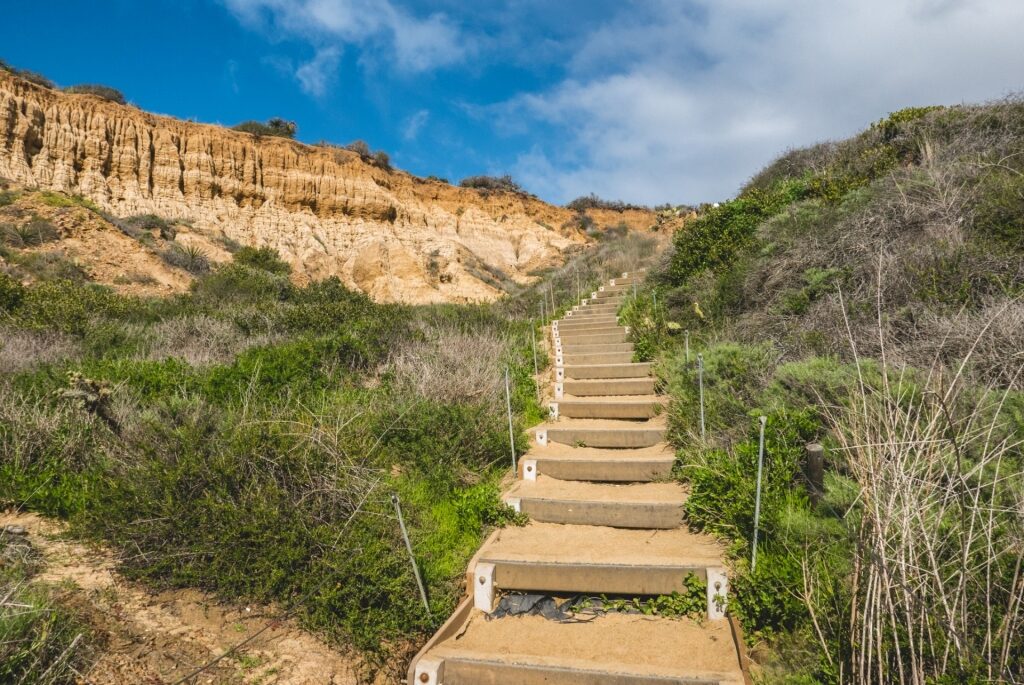 Pathway in Torrey Pines State Reserve, San Diego