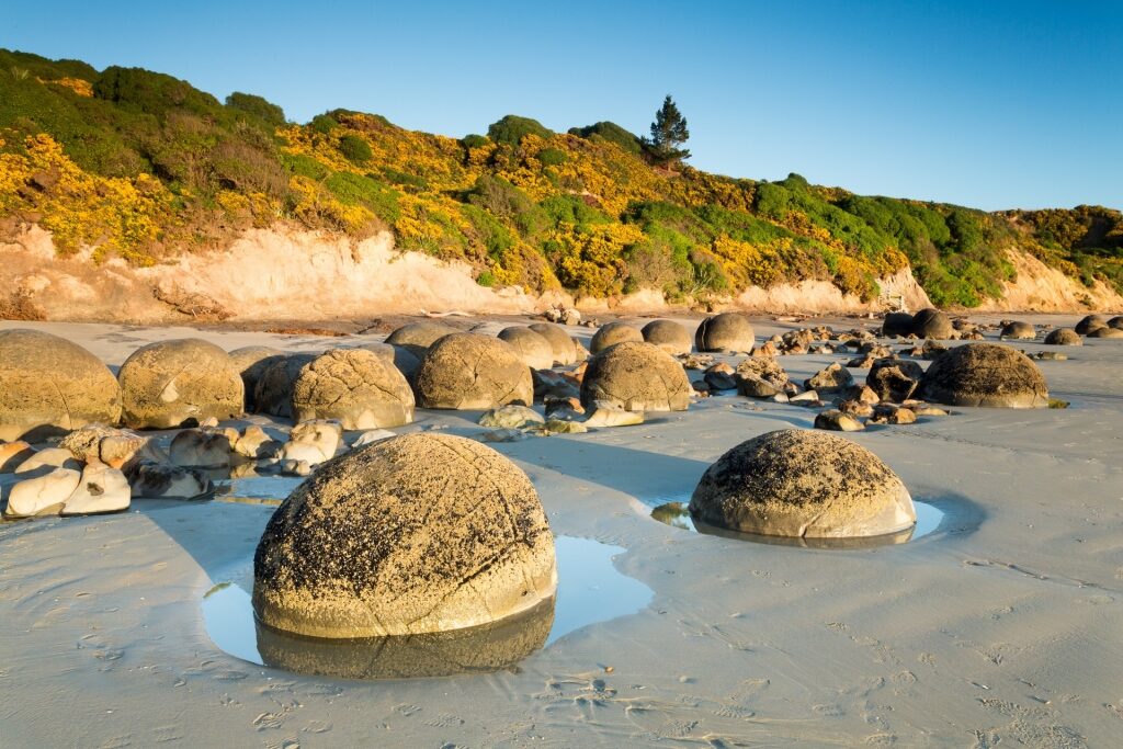 Sandy beach of Koekohe Beach in Dunedin, New Zealand
