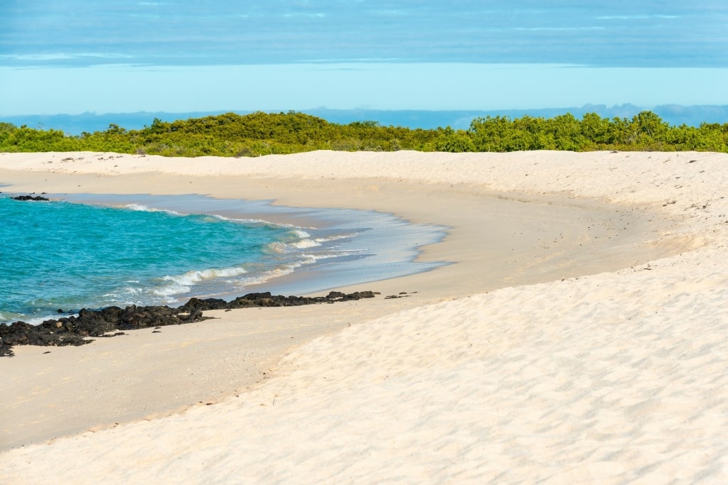 White sand beach of Playa Las Bachas, Santa Cruz Island