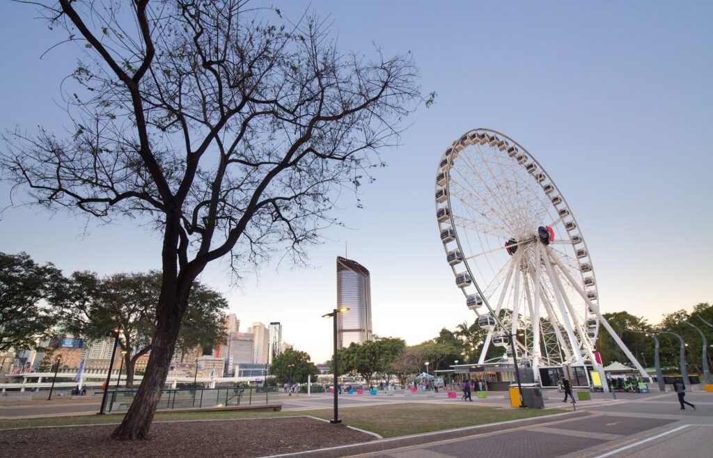 Wheel of Brisbane in Brisbane South Bank