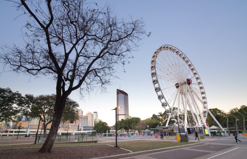 South Bank Parklands, Attractions