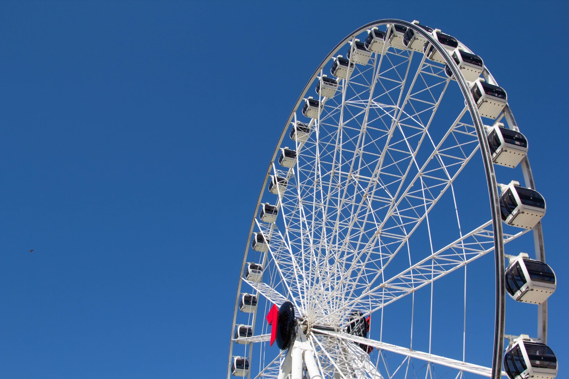 Brisbane's South Bank What to See & Do Celebrity Cruises