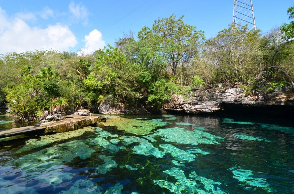 Clear water of Cenote Azul