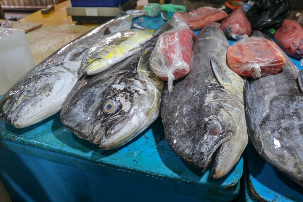 Fish at a market in Dominica