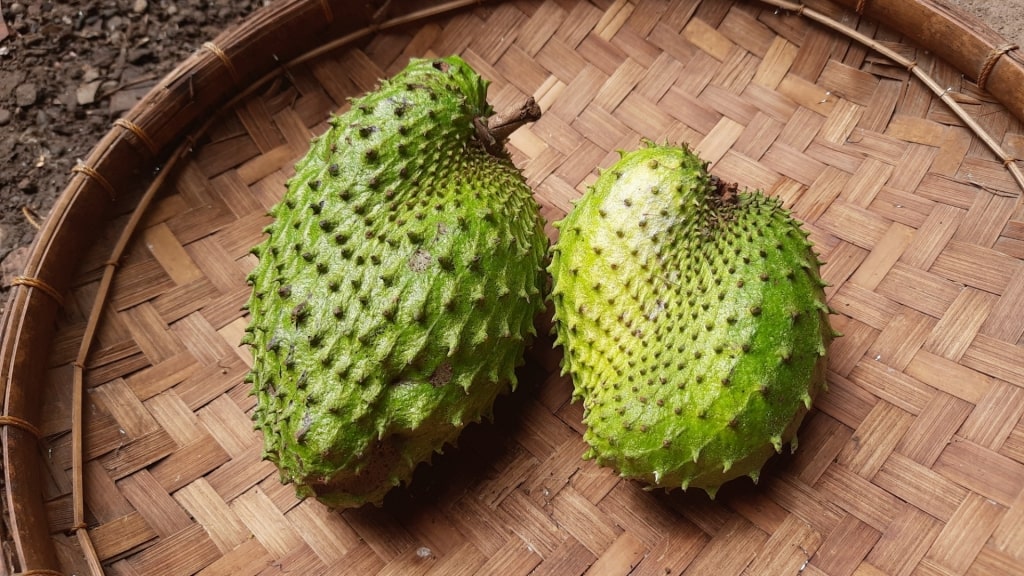 Barbadine fruit