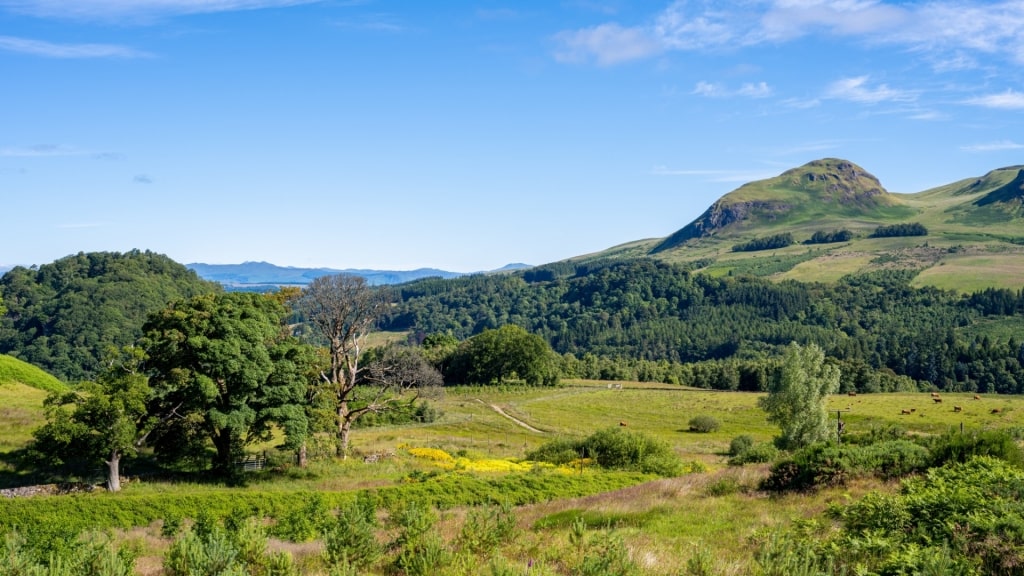 Lush landscape of Dumgoyne Hill