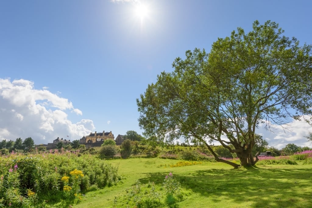 Lush scenery of Gowan Hill