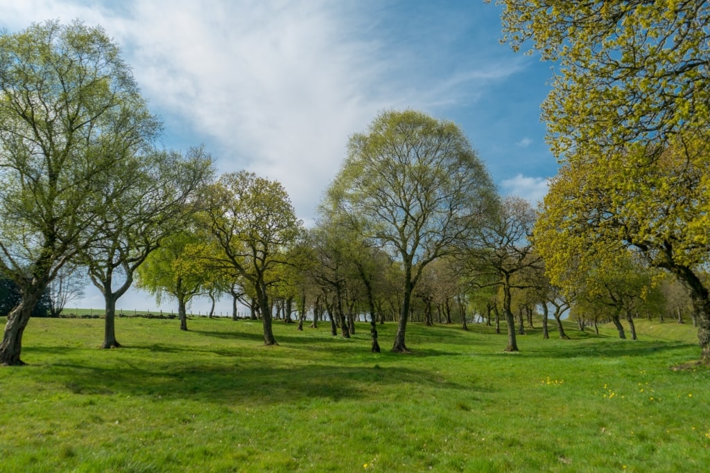 Lush landscape of Antonine Wall Trail along John Muir Way