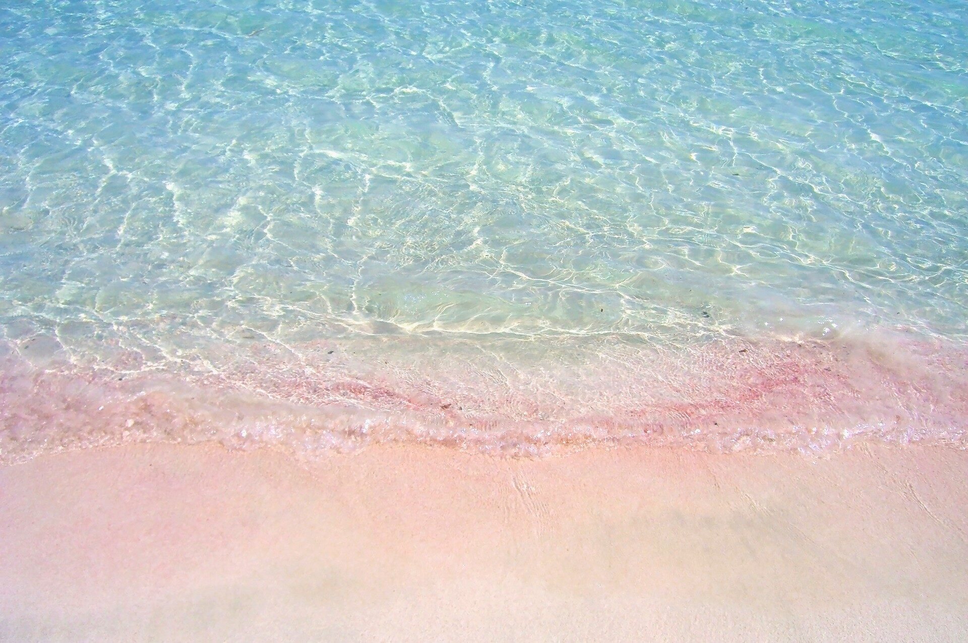10 Gorgeous Pink Sand Beaches Around the World | Celebrity Cruises