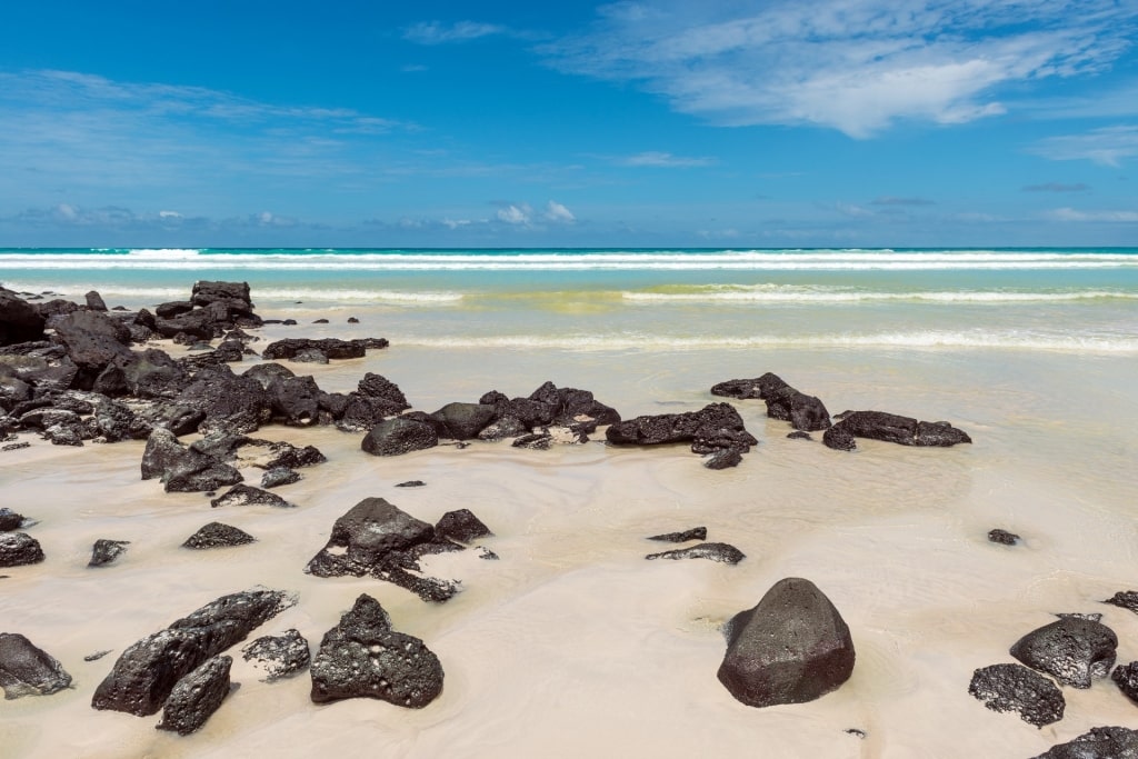 Beach in Santa Cruz Galapagos