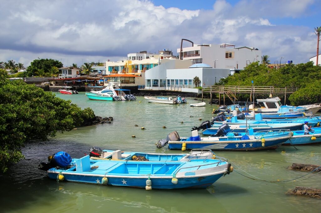 Waterfront of Puerto Ayora