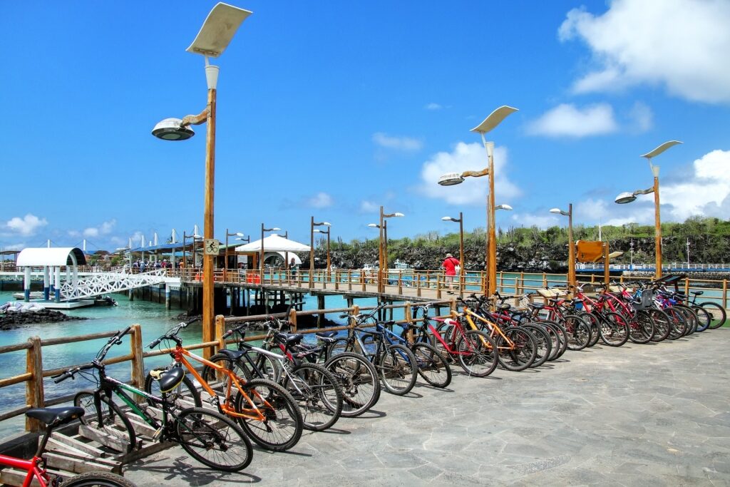 Bikes parked in Puerto Ayora's waterfront
