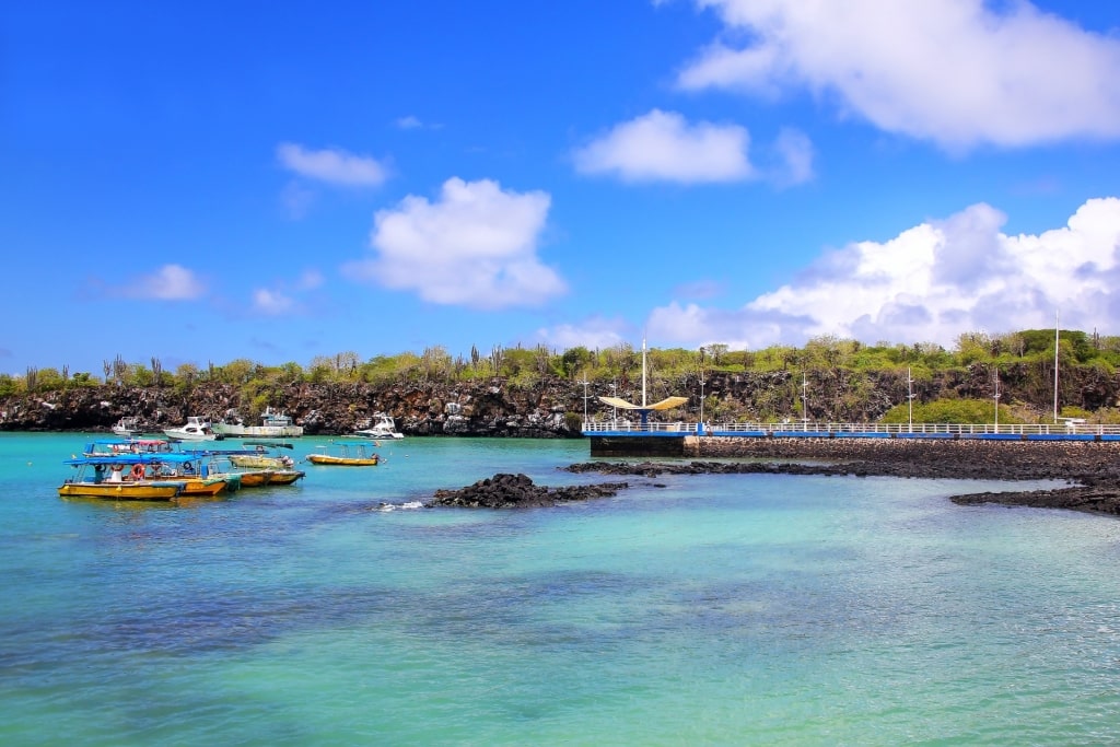 Waterfront of Puerto Ayora