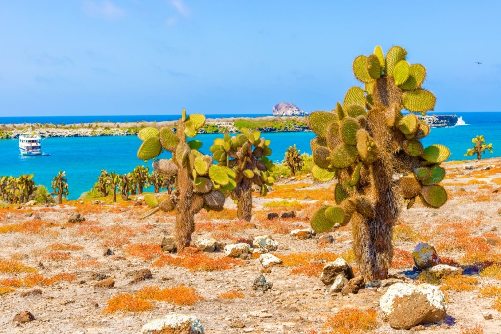 Beautiful landscape of Santa Cruz Island