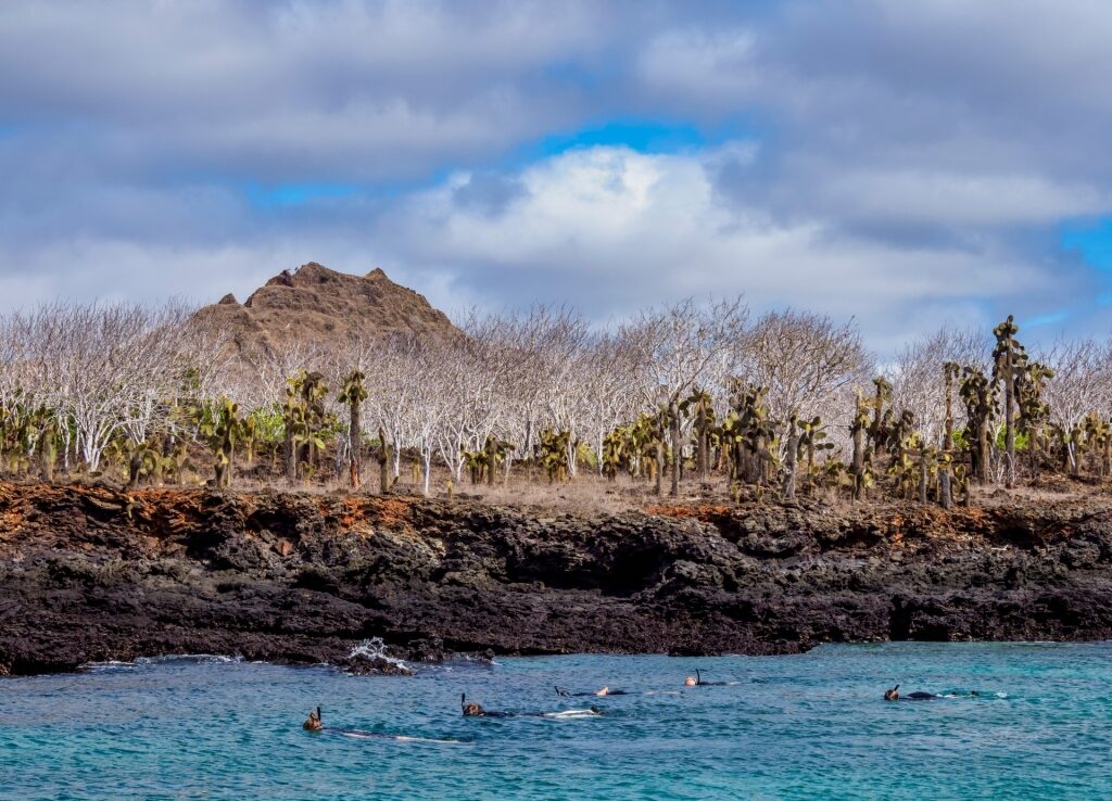 People snorkeling in the Galapagos