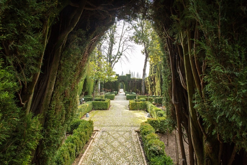 Lush view of Alhambra Palace Gardens, Granada